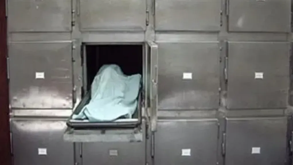 مقتل شخص وإصابة زوجته في مشاجرة على الميراث في كفر صقر بالشرقية