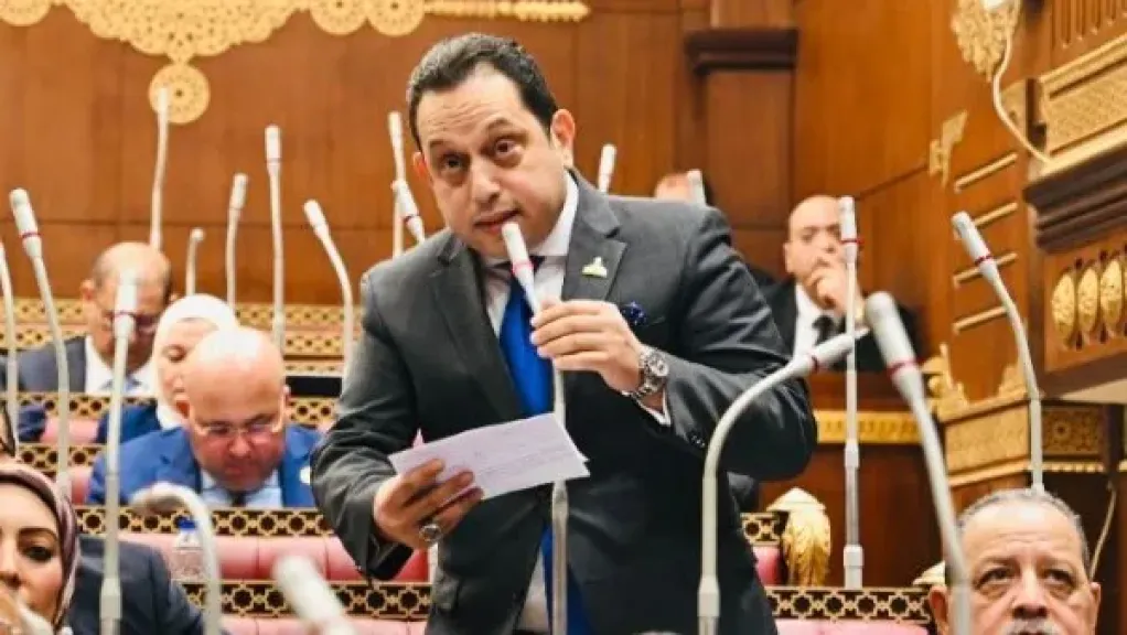 برلماني: «حياة كريمة» برؤية الرئيس السيسي تحصد تقديرًا دوليًا على نجاح التنمية في الريف المصري