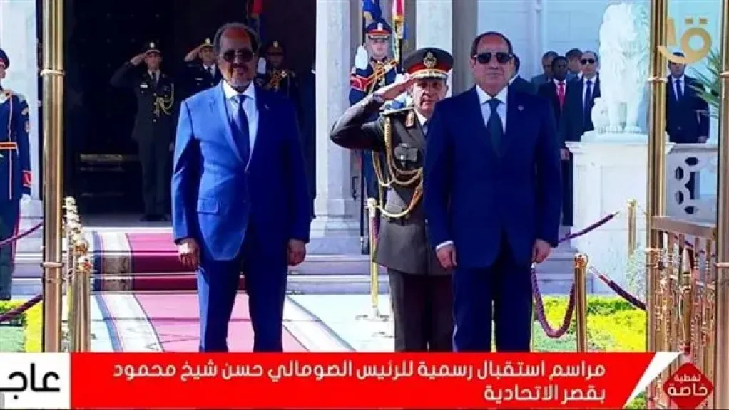 أستاذ علاقات دولية: العلاقات المصرية الصومالية ”تاريخية”.. تقارب أمني وسياسي وعسكري