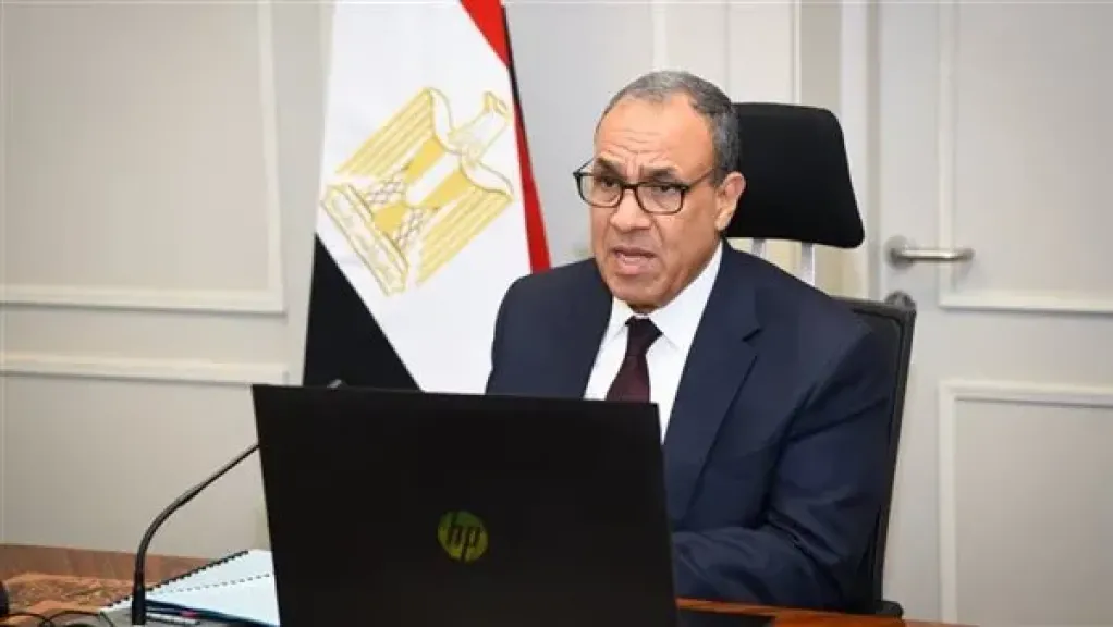 المصريون بالخارج يرحبون بتجديد الثقة في وزير الخارجية والهجرة