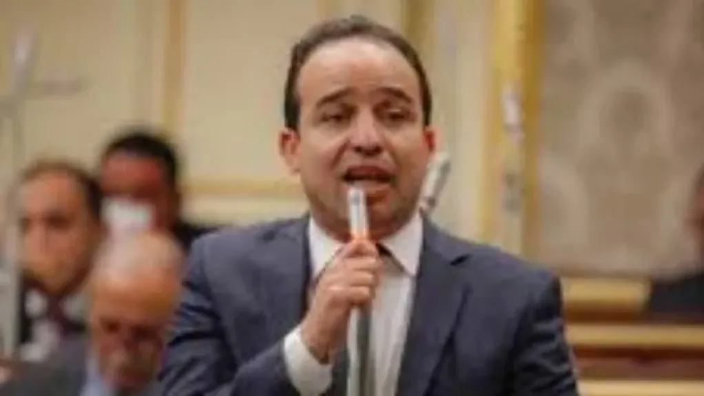 برلماني : لا يمكن الحكم على اختيار الوزراء الجدد إلا بعد العمل وخاصة في الملف الاقتصادي