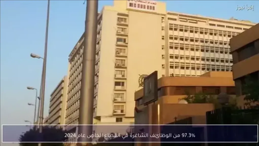 التعبة والإحصاء: 97.3% من الوظائف الشاغرة في القطاع الخاص عام 2024