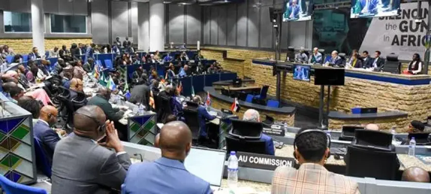 تحت الرئاسة المصرية.. مجلس السلم والأمن التابع للاتحاد الإفريقي يصدر بيانين دعمًا للصومال والسودان| صور