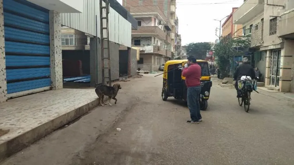 تحصين 20 كلبًا حرًا ضد مرض السعار في خرسيت بالغربية