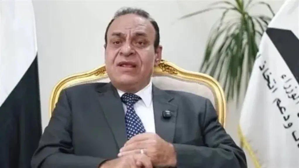 خبير اقتصادي يكشف سبب نقل الشركات الحكومية إلى الصندوق السيادي