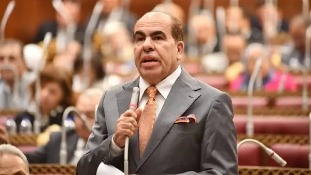 الهضيبي: توجيهات السيسي بحزمة حماية اجتماعية قبل رمضان تعكس حرص الرئيس على دعم الفئات الأولى بالرعاية