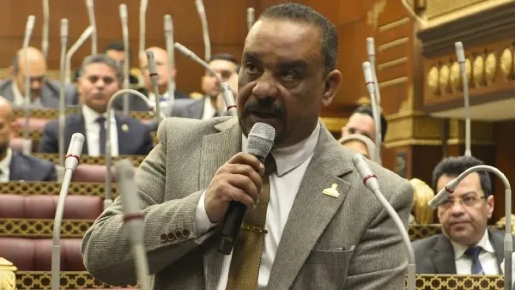 النائب أحمد حافظ: جهاز مستقبل مصر يعزز الأمن الغذائي وركيزة أساسية للجمهورية الجديدة