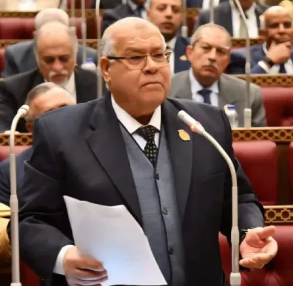 النائب ناجي الشهابي: مصر مستهدفة ووجود المحليات يحل مشكلات الناس ويحقق الاصطفاف