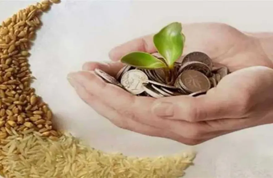 بالأرقام الرسمية.. فدية الصيام وزكاة الفطر في رمضان 2026