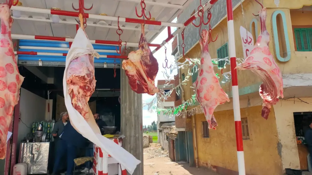 ضبط لحوم مجمدة فاسدة وأخرى بلدية في حملات تموينية بكفرالشيخ