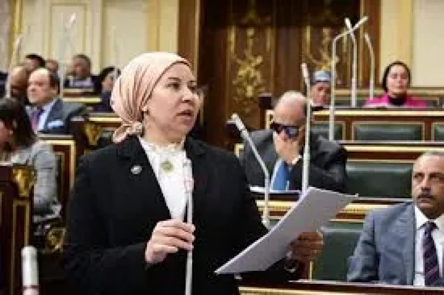 النائبة فايزة صالح: مسلسل صحاب الأرض يوثق انتهاكات وجرائم الاحتلال الإسرائيلي