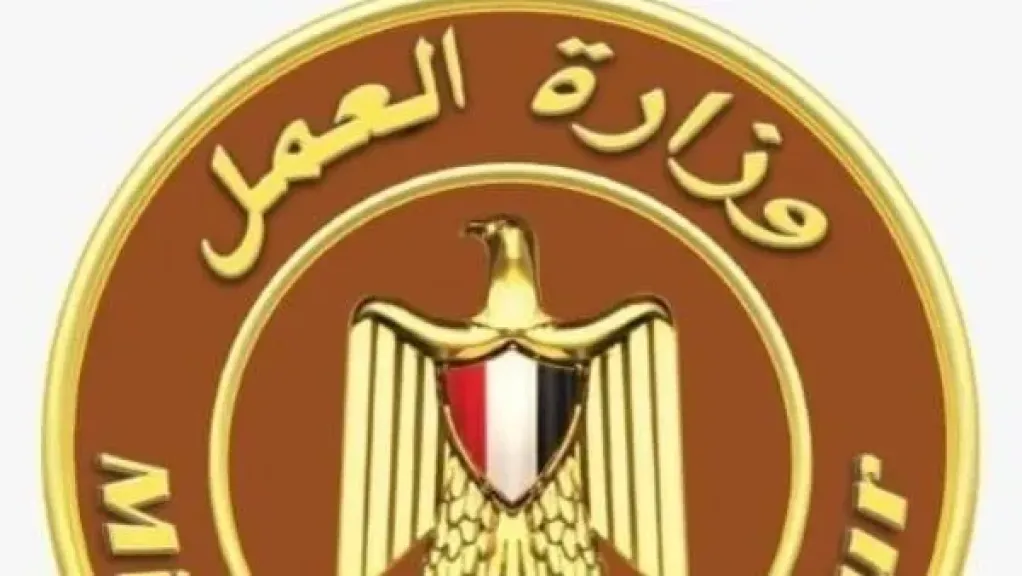 العمل: إنذار 1181 منشأة لتصحيح الأوضاع.. وتحرير 441 محضرًا لمخالفة القانون