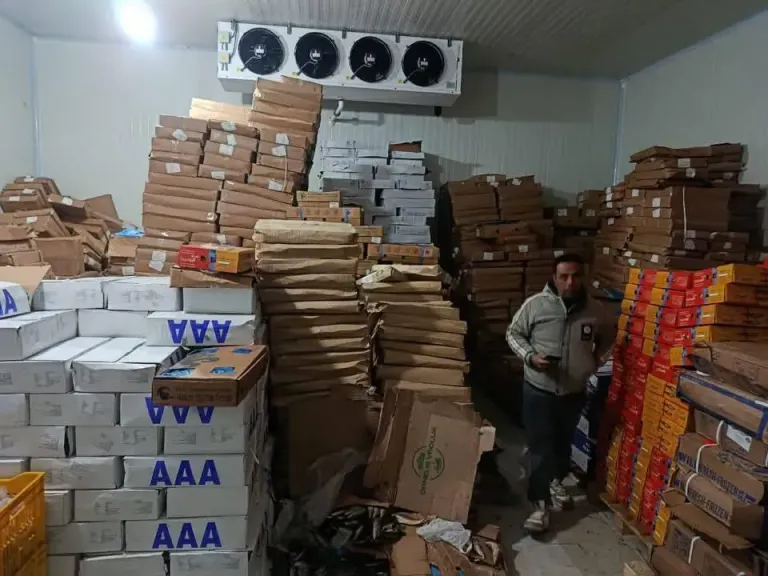 تحرير 88 محضرا تموينيا للمخابز البلدية المخالفة بالمدن والقرى بكفر الشيخ