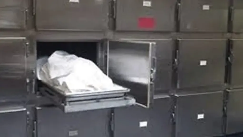 التصريح بدفن جثة مسن وزوجته لقيا مصرعهما في حادث تصادم بطوخ