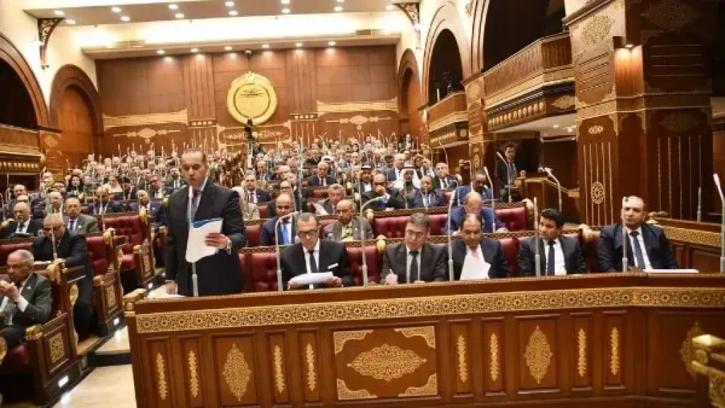 وكيل «أفريقية النواب»: دماء شهداء مصر صنعت الأمن والاستقرار