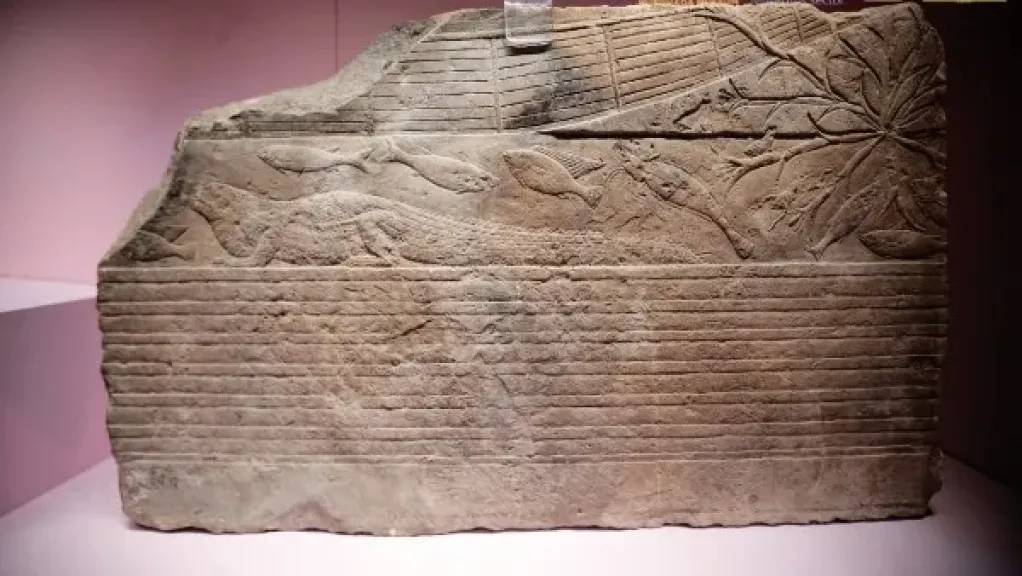 متحف الغردقة يحتفل باليوم العالمى للمياه