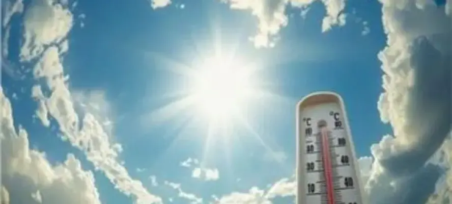 طقس الاثنين: شبورة كثيفة تسيطر على طرق القاهرة والأقاليم.. وتحذير من اضطراب البحر الأحمر