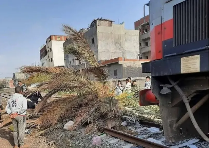 عودة حركة القطارات الإسكندرية بعد توقف مؤقت جراء سقوط نخلة