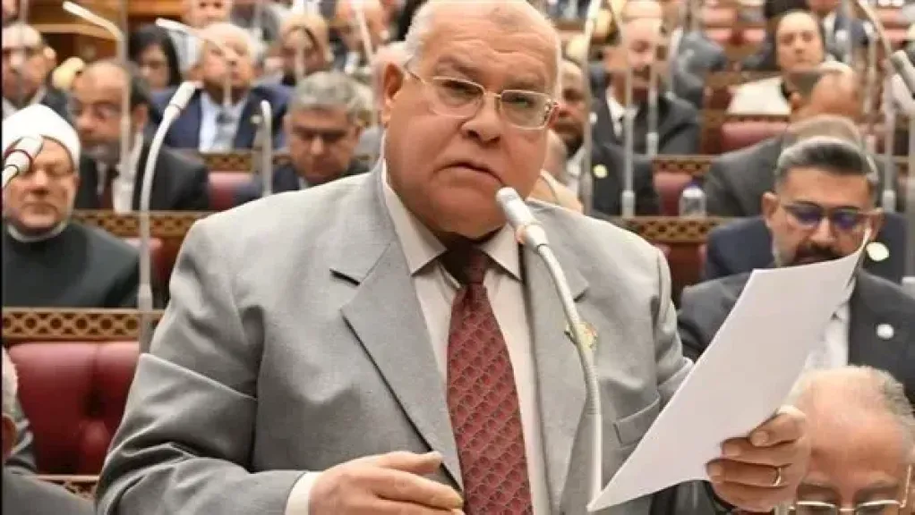 الشهابي: كلمة الرئيس بافتتاح مشروع الدلتا كشفت حجم المعركة لتأمين مستقبل الوطن