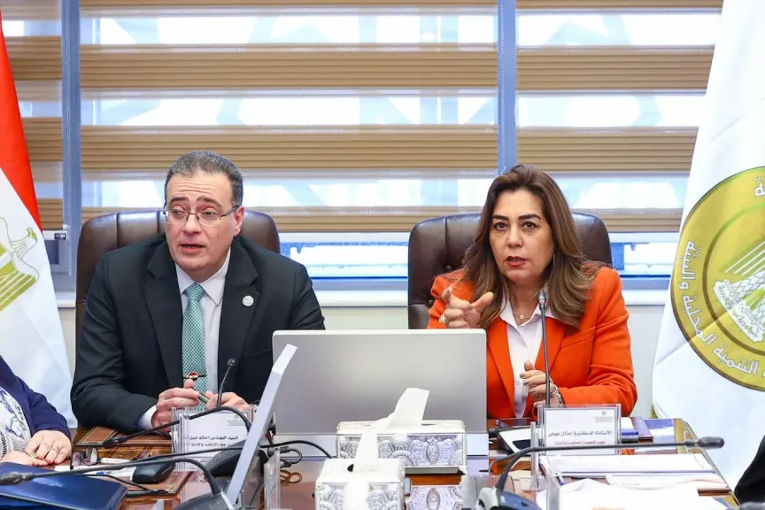 وزيرة التنمية المحلية ورئيس التنظيم والإدارة يتوافقان على مقترح الهيكل التنظيمي المحدث للوزارة