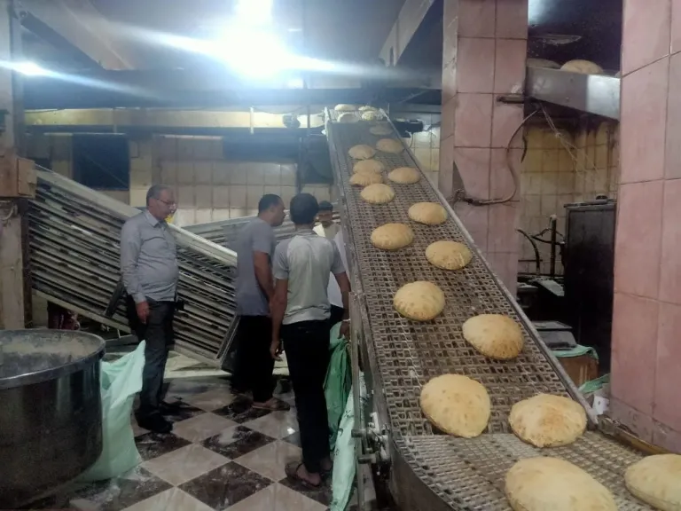 تحرير 91 محضرا لمخالفات تموينية في كفرالشيخ