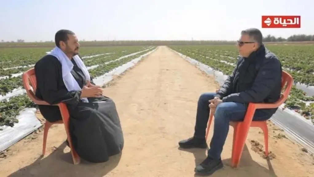 قصة نجاح .. الحاج رفاعي استصلح الأرض الصحراوبة ويصدر الفراولة