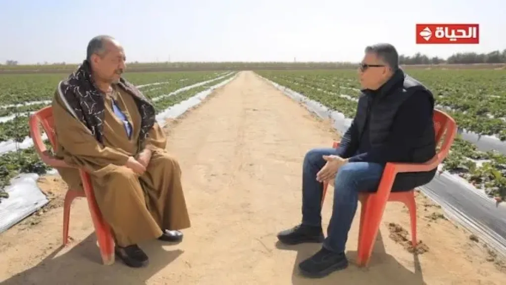 بيصدر فراولة وعنب.. رحلة ملهمة للحاج علي مع استصلاح الاراضي | أجمل ناس