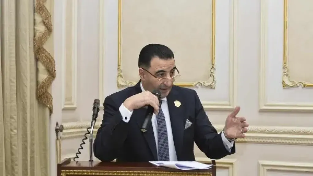 وكيل صناعة الشيوخ: القيادة المصرية تلعب دورًا محوريًا في تعزيز التضامن العربي