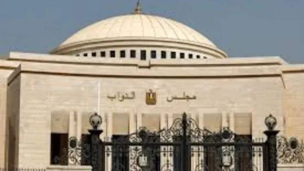 طلب إحاطة فى النواب حول تحويل العلاج إلى تجارة ببعض المستشفيات الخاصة