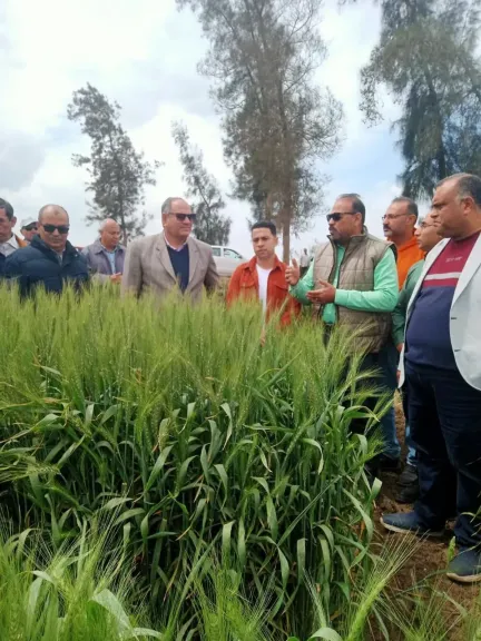 رئيس «البحوث الزراعية» يتفقد محطة بحوث الجميزة في ثاني أيام عيد الفطر لمتابعة تطوير العمل البحثي والإنتاجي