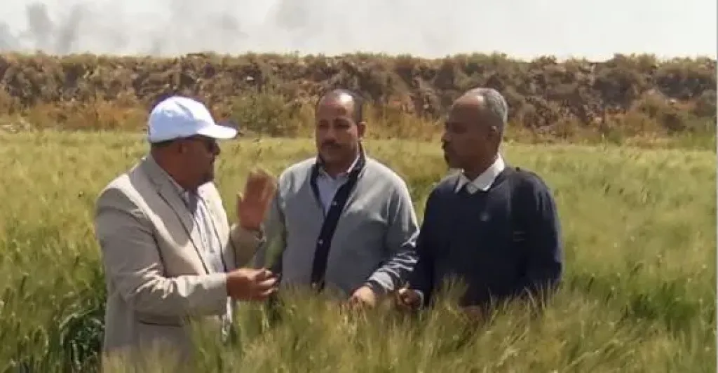 ”الزراعة” تتابع البرامج البحثية والحقول الإرشادية بمحطة بحوث كوم أمبو بأسوان| صور