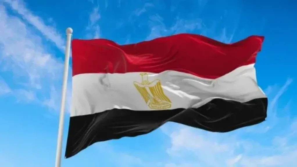 مصر تدين استهداف محيط محطة براكة للطاقة النووية بالإمارات وتؤكد تضامنها معها