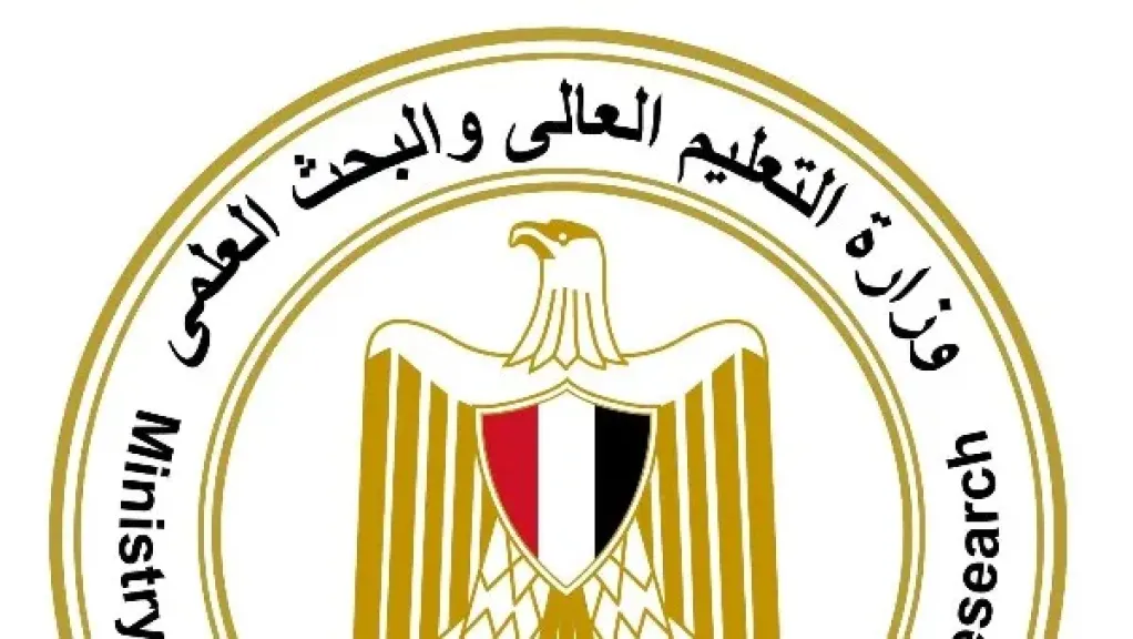 متحدث التعليم العالي : إنشاء فروع لجامعات مصرية في الخارج توجه رئيسي للوزارة