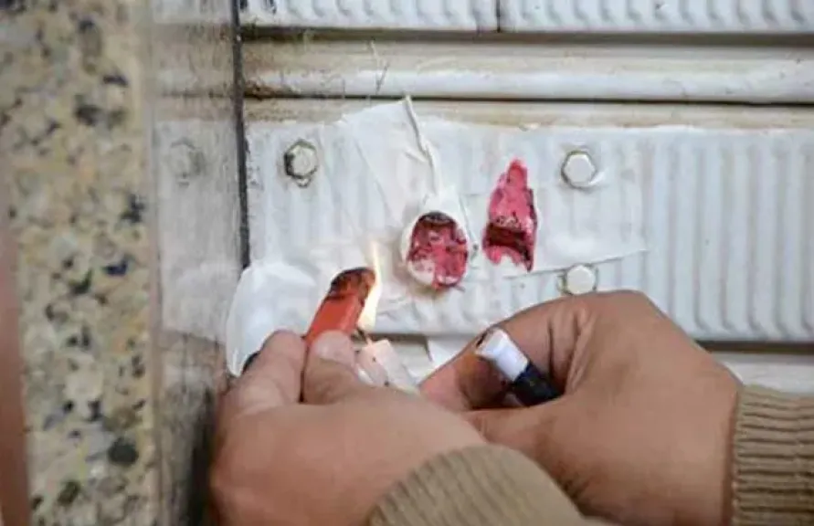 تشميع 20 محلا في الإسكندرية خلال حملة لإزالة الإشغالات بالمنتزه