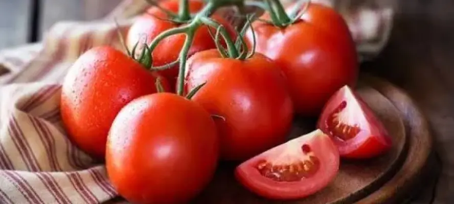 الزراعة: تراجع أسعار الطماطم خلال أيام.. الكيلو هيوصل 25 جنيها