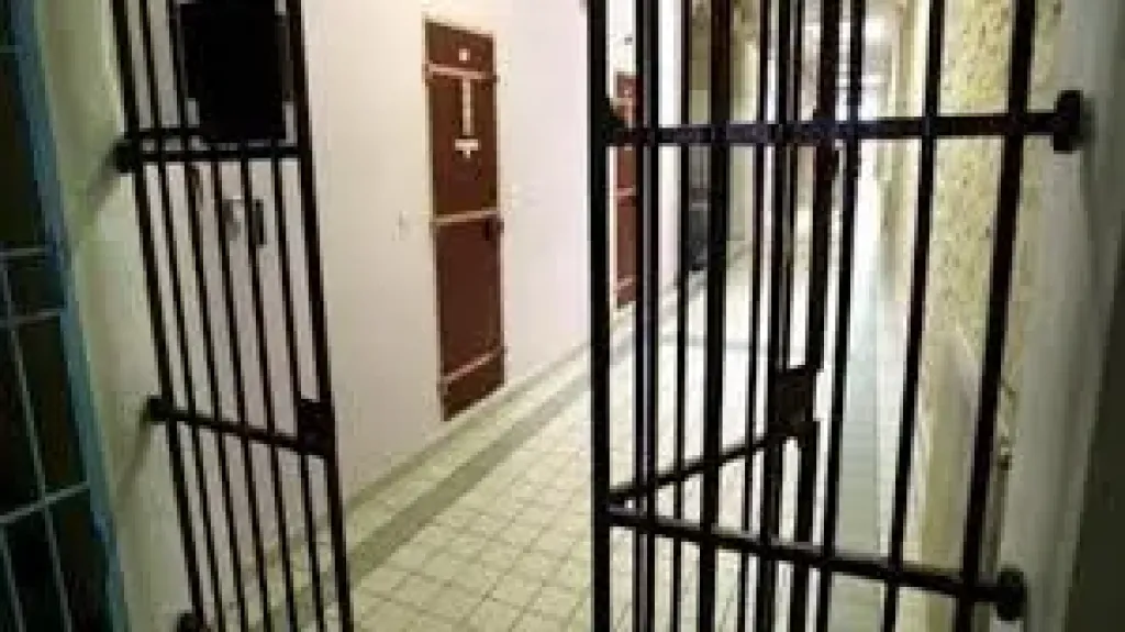 إخلاء سبيل المتهمة بالتعدي على زوجها في الشرقية