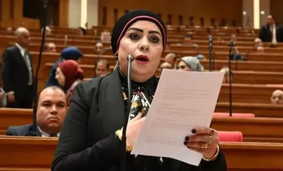 جيهان شاهين: كلمة السيسي أمام بريكس وضعت أولويات مصر بوضوح.. والتعاون يجب أن يتحول إلى مشروعات ملموسة