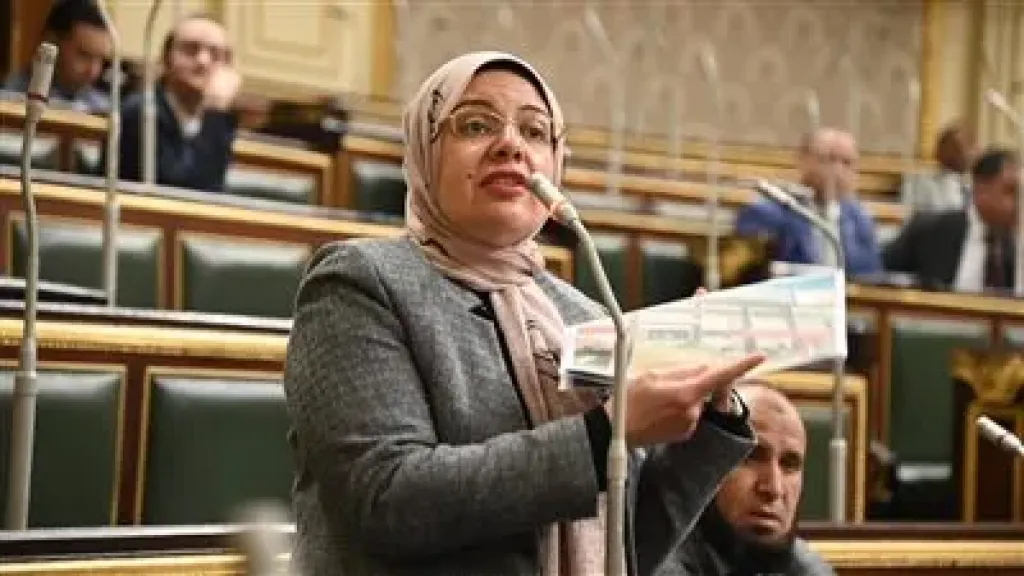النائبة ريهام عبد النبي تتقدم ببيان عاجل: السياسة الاقتصادية أدت لموجة غلاء غير مسبوقة