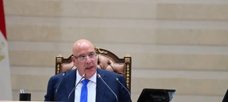 رئيس مجلس النواب: نقف صفا واحدا مع القيادة السياسية