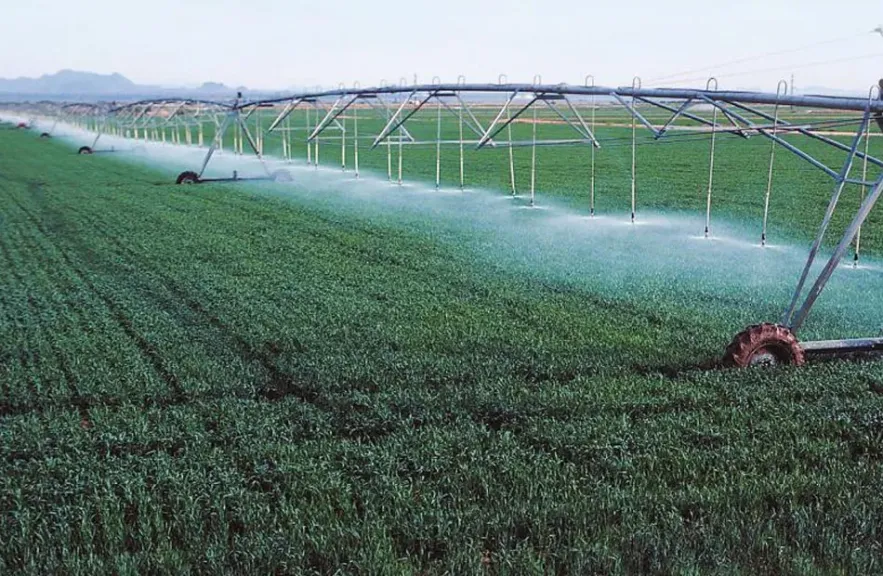 تطوير زراعة المحاصيل البستانية في مصر.. رؤى علمية لمواجهة التحديات وتعزيز الاستدامة