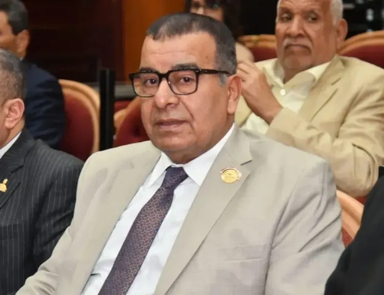 محمود مرجان: ثورة 30 يونيو أنقذت الدولة المصرية من مصير مظلم وأطلقت مسيرة الجمهورية الجديدة