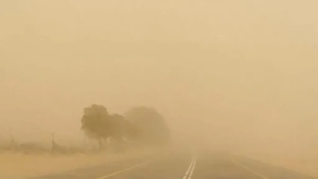 الأرصاد الجوية: استمرار الرمال المثارة على السواحل الشمالية الغربية والصحراء الغربية والوجه البحري