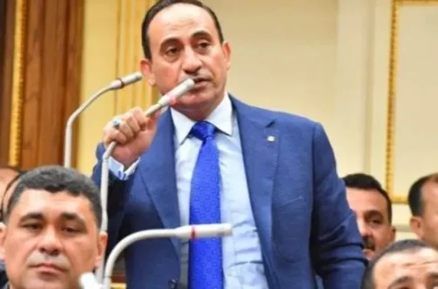 النائب محمد زين الدين يطالب برقابة صارمة على قرار العمل عن بُعد منعا لتعطل مصالح المواطنين