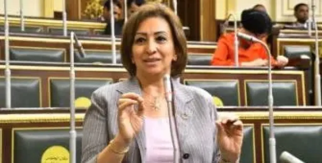 النائبة مها عبد الناصر تطالب بتفعيل الأنشطة المدرسية وقصور الثقافة: الأهالي مش عارفة تودي ولادها فين