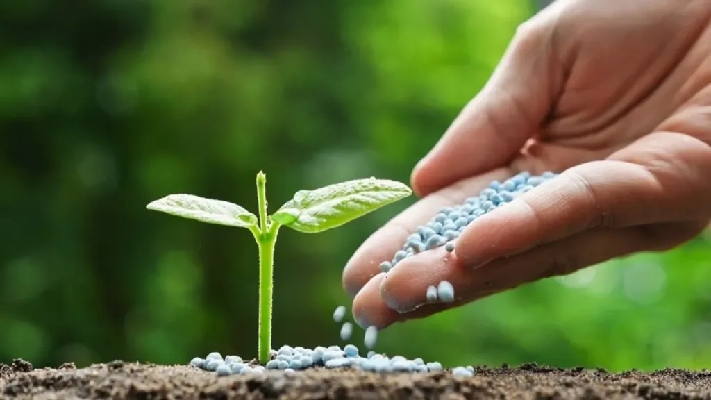 نقيب الفلاحين: ارتفاع أسعار الأسمدة يضغط على المزارعين