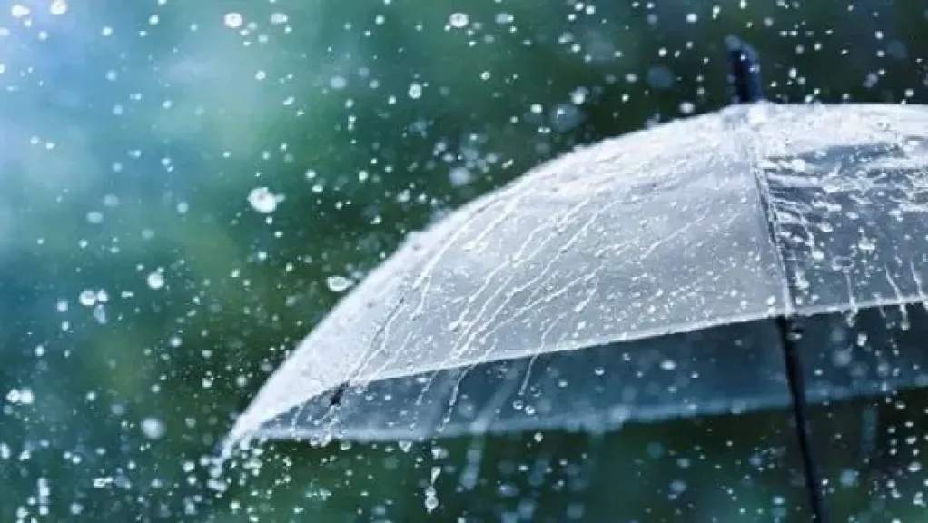 لا تخففوا الملابس.. الأرصاد تكشف مفاجأة عن حالة طقس منتصف الأسبوع