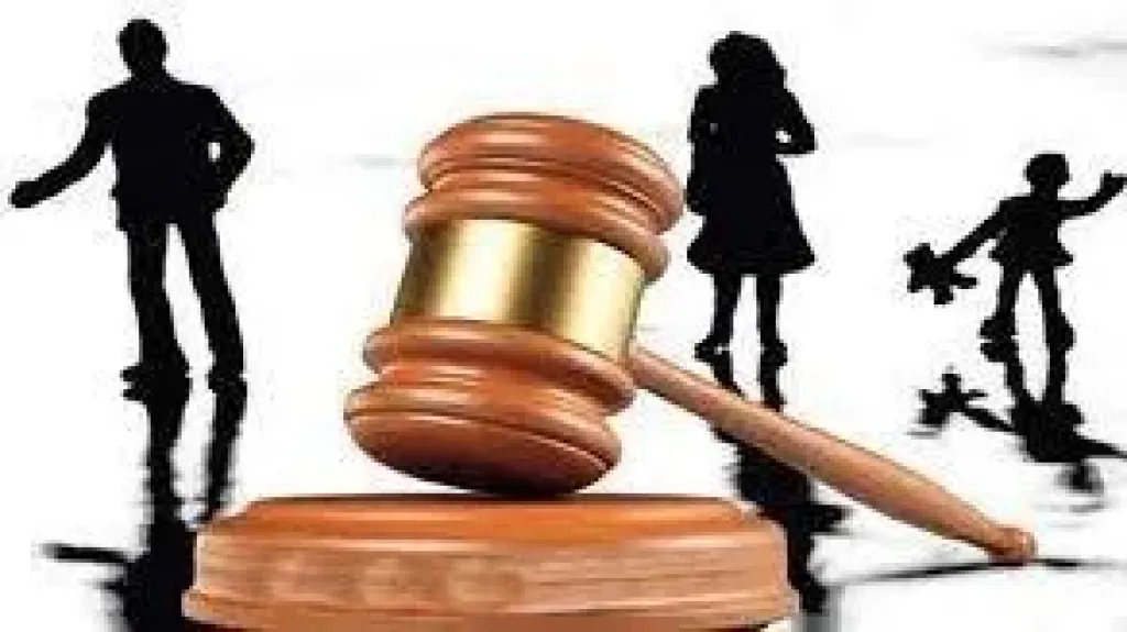 لمياء بسيوني: الحضانة المبكرة يجب أن تكون مع الأم لحماية الأطفال من النزاعات الأسرية