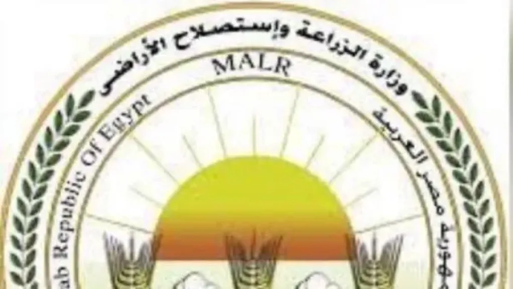 متحدث الزراعة: التقنيات الحديثة توفر 70% من التكلفة وتدعم زيادة الصادرات