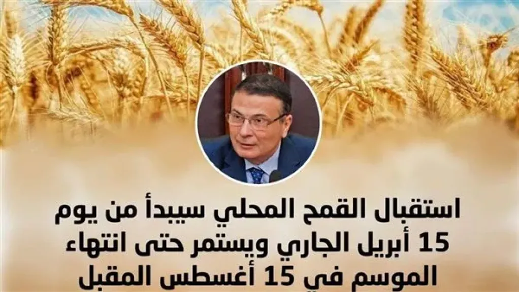 وزير الزراعة يعلن الاستعدادات النهائية لحصاد القمح: 2500 جنيه للإردب