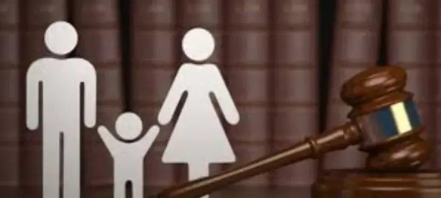 محامٍ بالنقض : تعديل قانون الأحوال الشخصية ضرورة لحماية الطفل